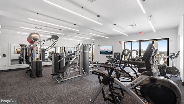 workout area with dark colored carpet