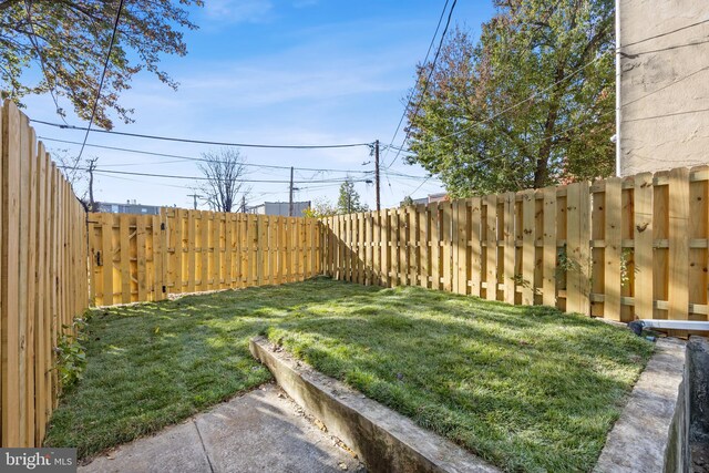 415 E Lafayette Ave, Baltimore, MD 21202 - view of yard