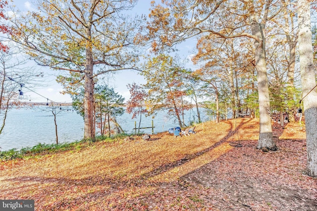 view of yard with a water view