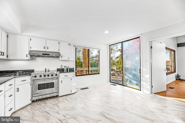 kitchen featuring white cabinets, light hardwood / wood-style flooring, and high end stainless steel range