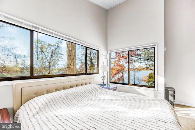 bedroom featuring carpet and a textured ceiling