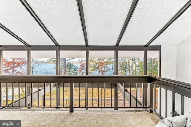 interior space featuring carpet and a textured ceiling