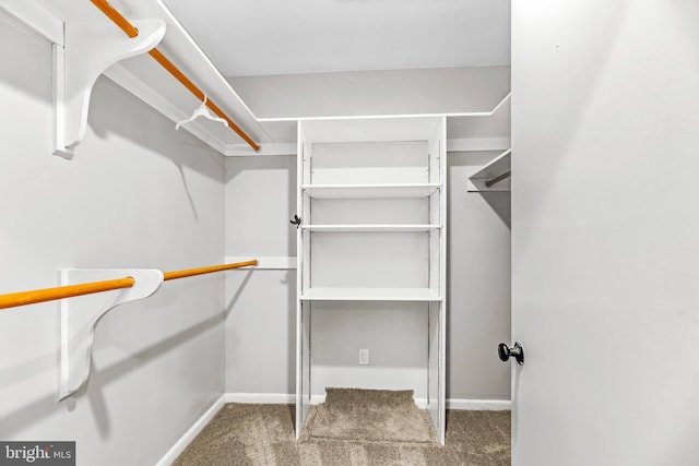 spacious closet with carpet floors