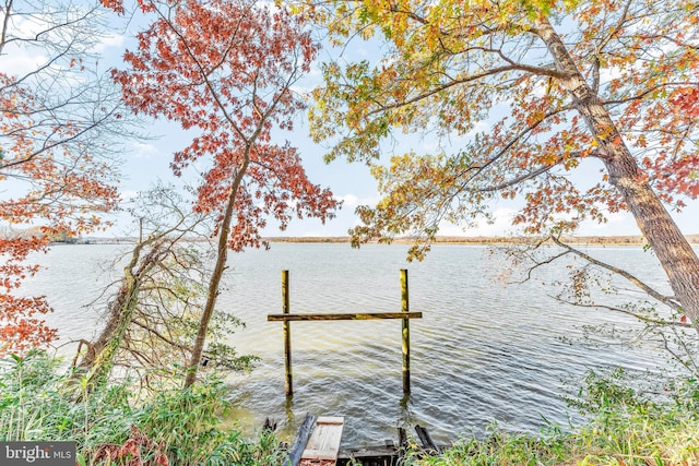 dock area featuring a water view