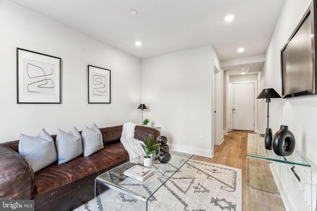 living room with light wood-type flooring