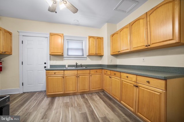 kitchen featuring ceiling fan, dark hardwood / wood-style floors, and sink