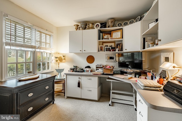 office with plenty of natural light and light carpet