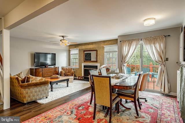 dining area featuring ceiling fan and dark hardwood / wood-style floors