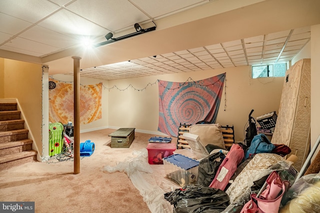 basement with a paneled ceiling and carpet floors