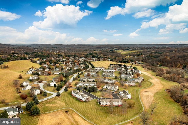 bird's eye view