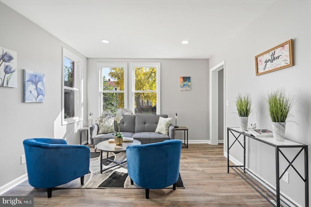 living room featuring light hardwood / wood-style flooring