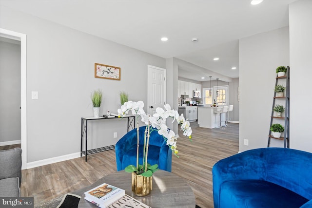 living room with hardwood / wood-style flooring