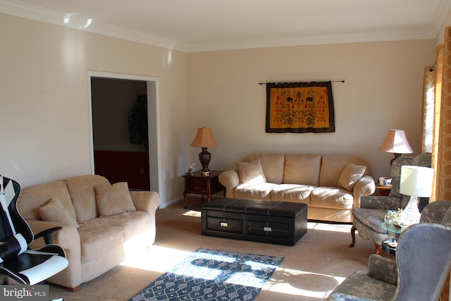 carpeted living room featuring crown molding