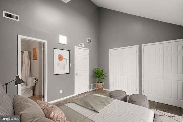 bedroom with hardwood / wood-style floors, two closets, and high vaulted ceiling