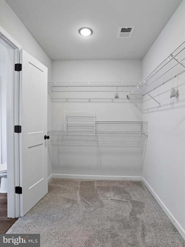 walk in closet with carpet