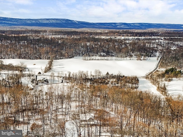 snowy aerial view featuring a mountain view