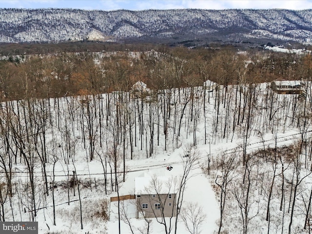 snowy aerial view featuring a mountain view