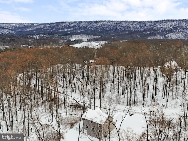 snowy aerial view featuring a mountain view