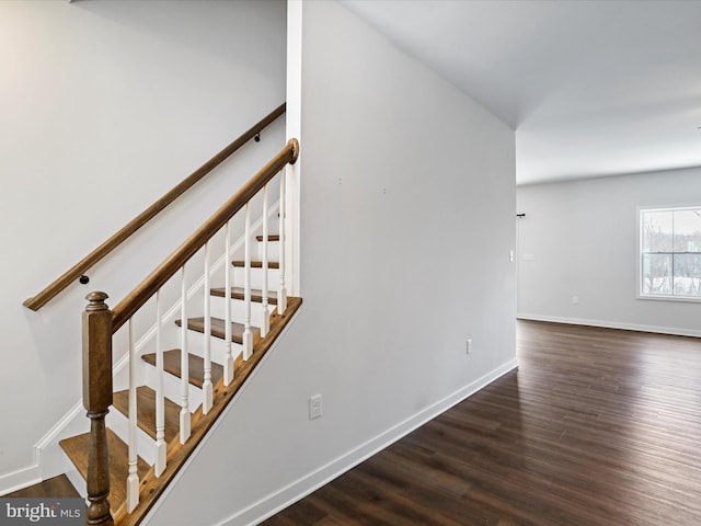 staircase with hardwood / wood-style flooring