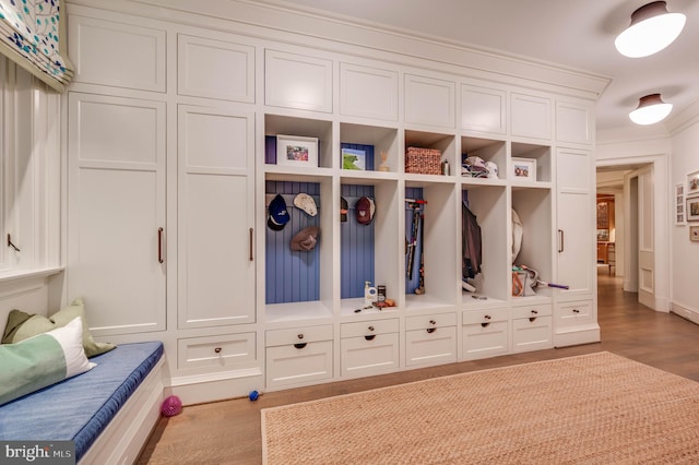 mudroom with light hardwood / wood-style floors and ornamental molding