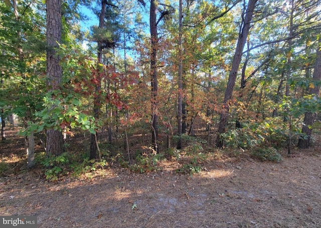 3538 Reading Ave, Hammonton NJ, 08037 land for sale