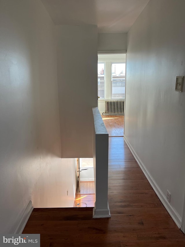 corridor with dark hardwood / wood-style floors and radiator