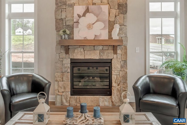 living area with a stone fireplace and wood-type flooring