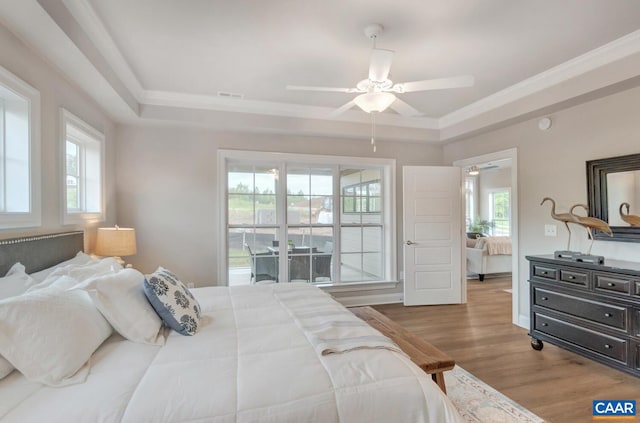 bedroom with a tray ceiling, light hardwood / wood-style flooring, multiple windows, and ceiling fan