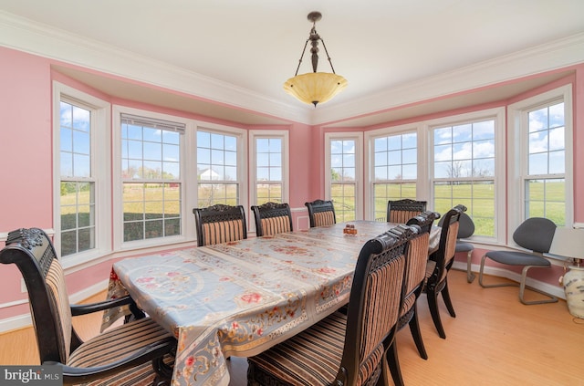 dining area featuring light wood-type flooring and crown molding