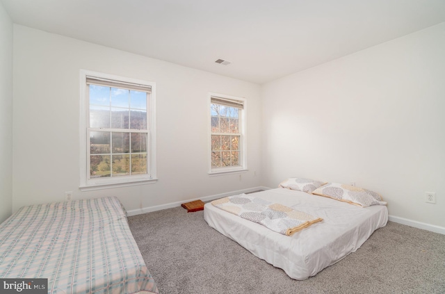 carpeted bedroom with multiple windows