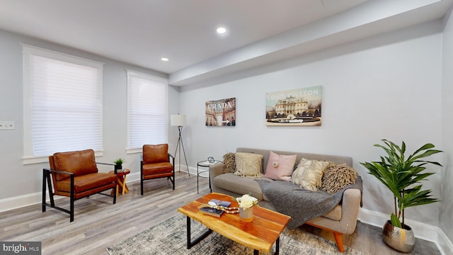 living room with light hardwood / wood-style floors