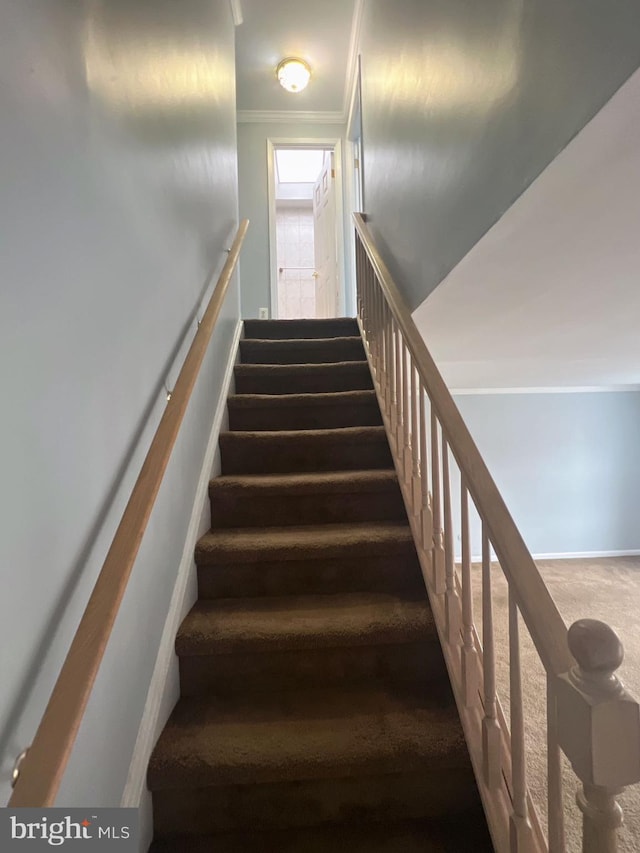 stairs featuring carpet and crown molding