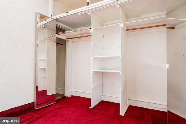 2217 N 59th St, Philadelphia, PA 19131 - walk in closet featuring carpet