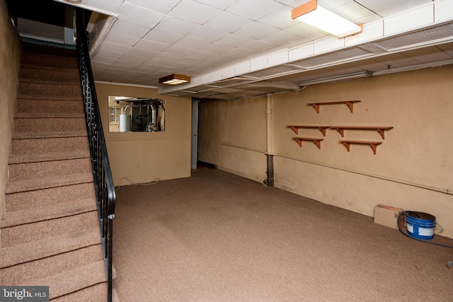 basement featuring carpet flooring