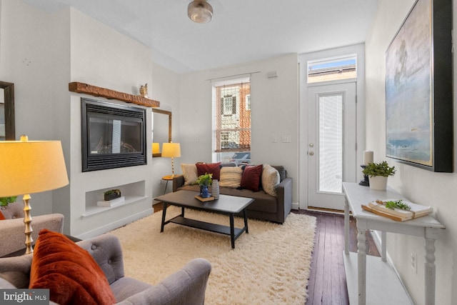 living room featuring hardwood / wood-style flooring