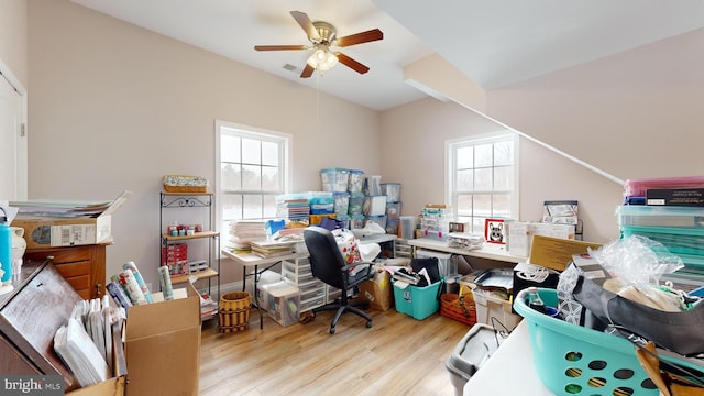 office featuring a wealth of natural light, ceiling fan, and light hardwood / wood-style flooring