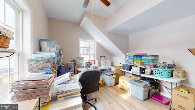 office featuring ceiling fan and light wood-type flooring