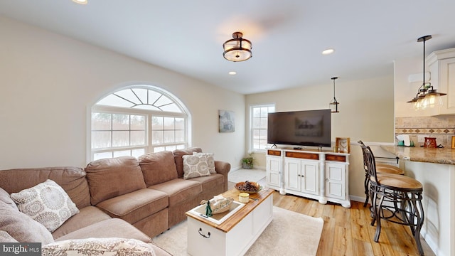 living room with light hardwood / wood-style flooring