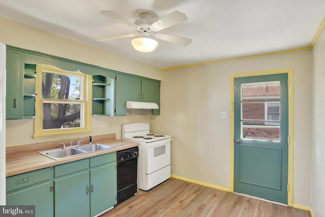 kitchen featuring light hardwood / wood-style floors, plenty of natural light, white range with electric stovetop, and black dishwasher