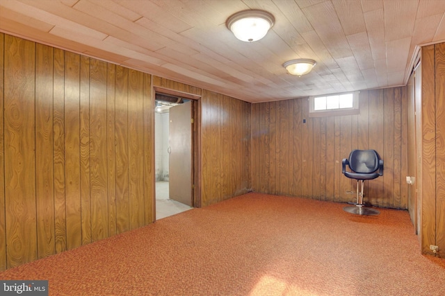 basement featuring wood walls and light carpet