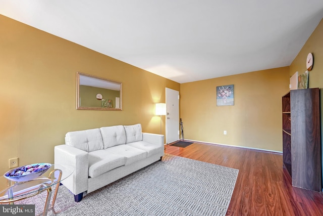 living room featuring hardwood / wood-style floors