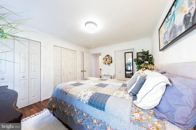 bedroom with two closets, dark hardwood / wood-style floors, and ornamental molding