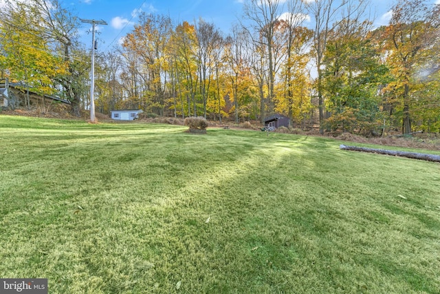 view of yard featuring a storage unit