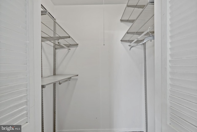 view of walk in closet