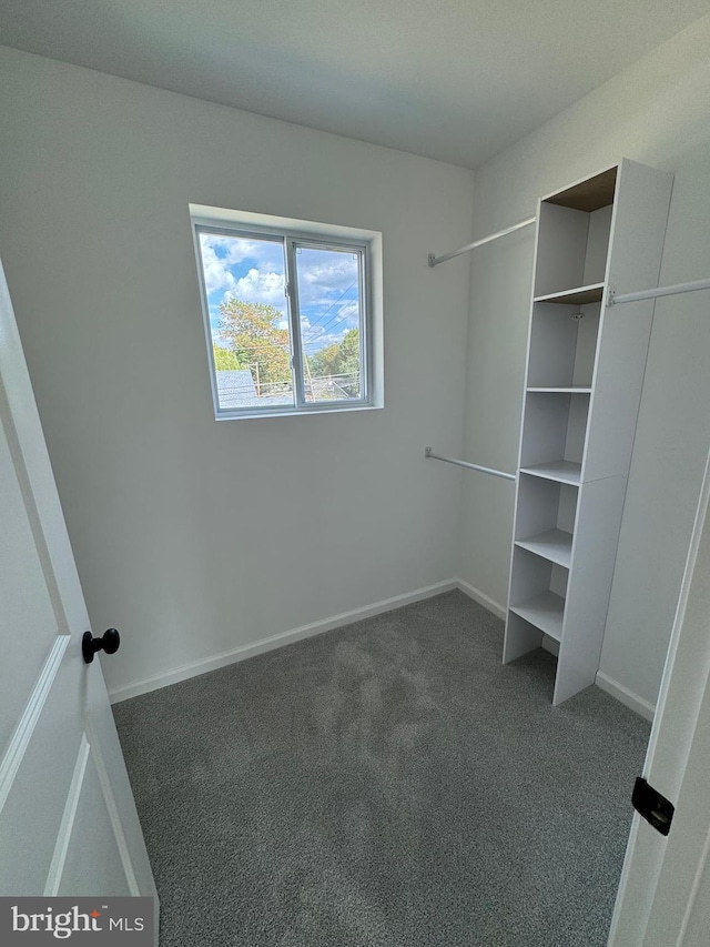 walk in closet featuring dark carpet