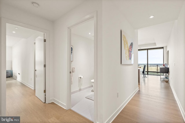 hall featuring light hardwood / wood-style flooring