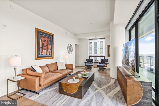 living room with light wood-type flooring and a wealth of natural light