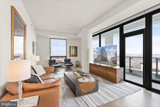 living room featuring light hardwood / wood-style floors