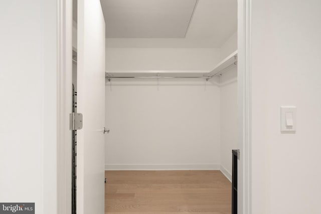 spacious closet featuring light wood-type flooring