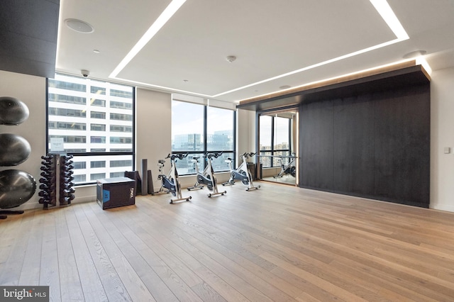 workout area with light hardwood / wood-style floors and floor to ceiling windows